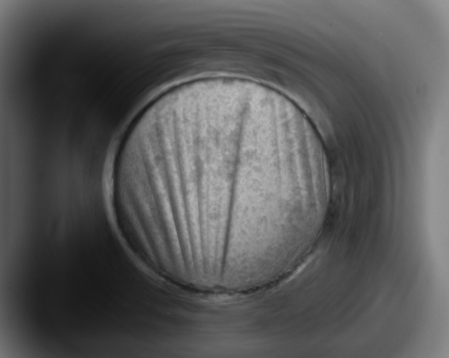 X0000087551523200705181057