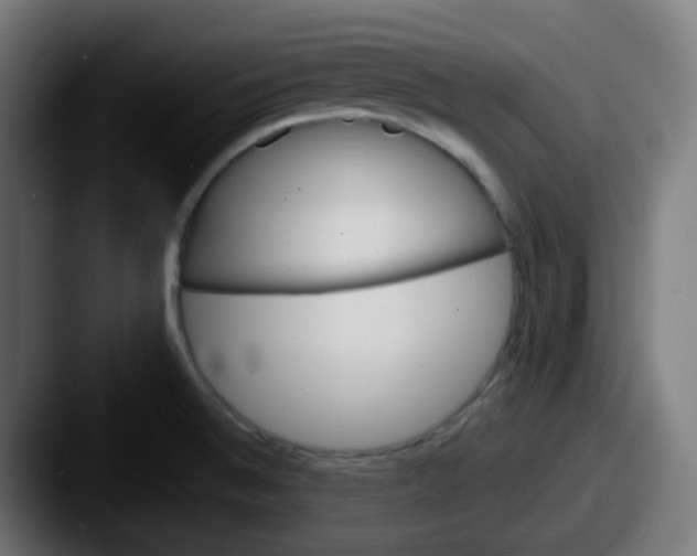 X0000087551524200705181057