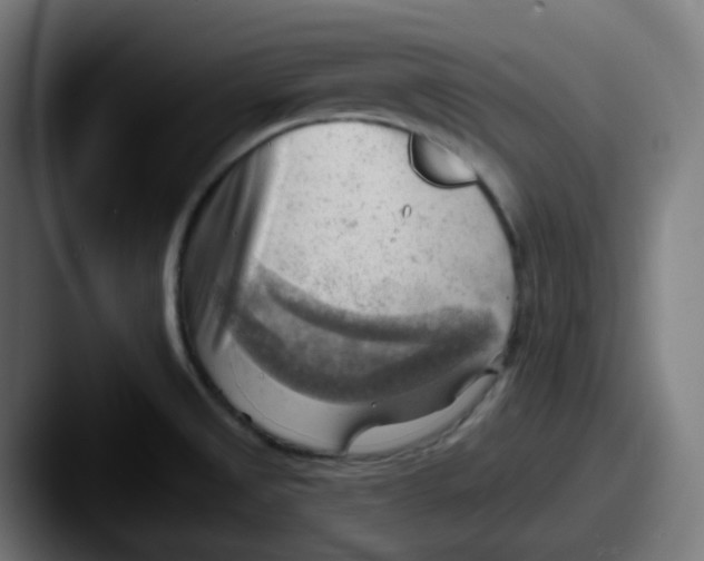 X0000087551525200705181057