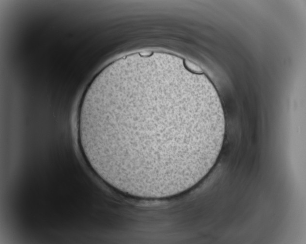 X0000087551526200705181057