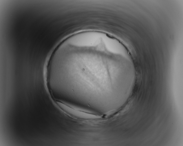 X0000087551527200705181057