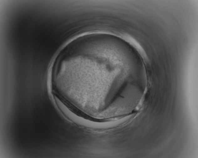 X0000087551528200705181057