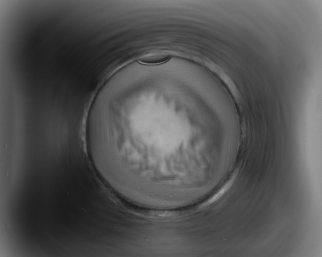 X0000087551529200705181057