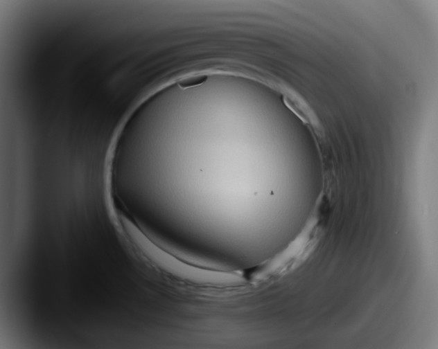 X0000087551530200705181057