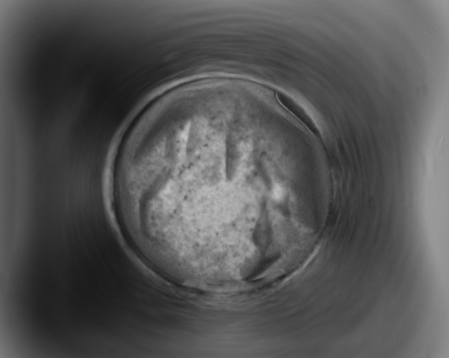 X0000087551531200705181057