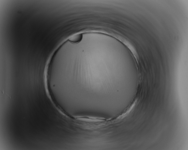 X0000087551533200705181057