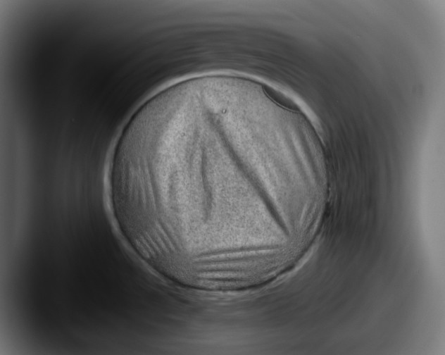 X0000087551534200705181057