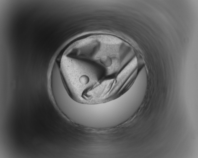 X0000087551536200705181057