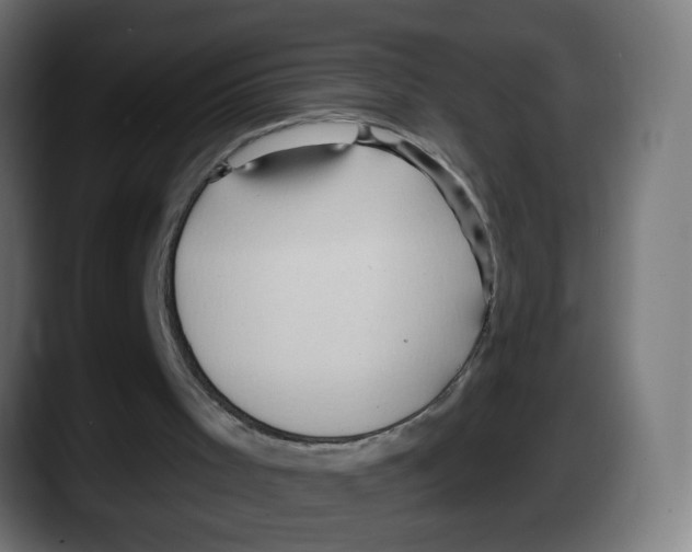 X0000087550001200705251749