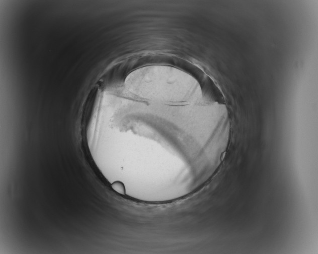 X0000087550002200705251749