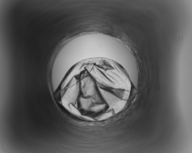 X0000087550003200705251749