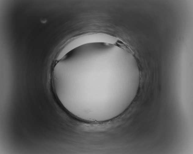 X0000087550005200705251749