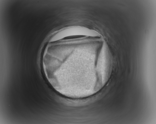 X0000087550006200705251749