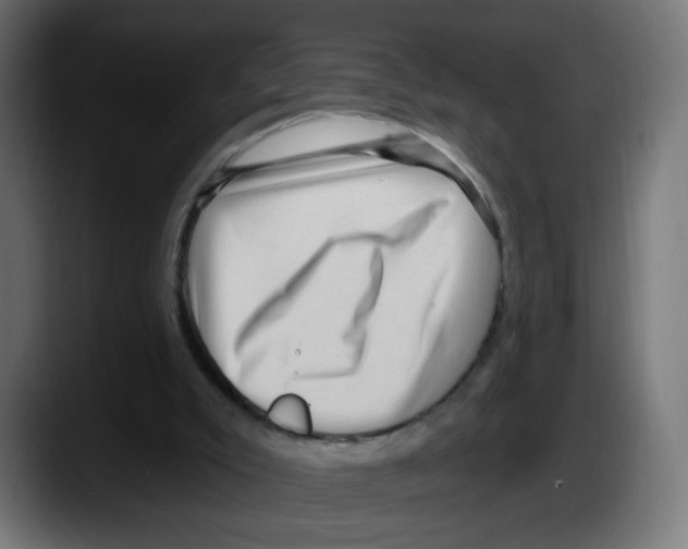 X0000087550007200705251749