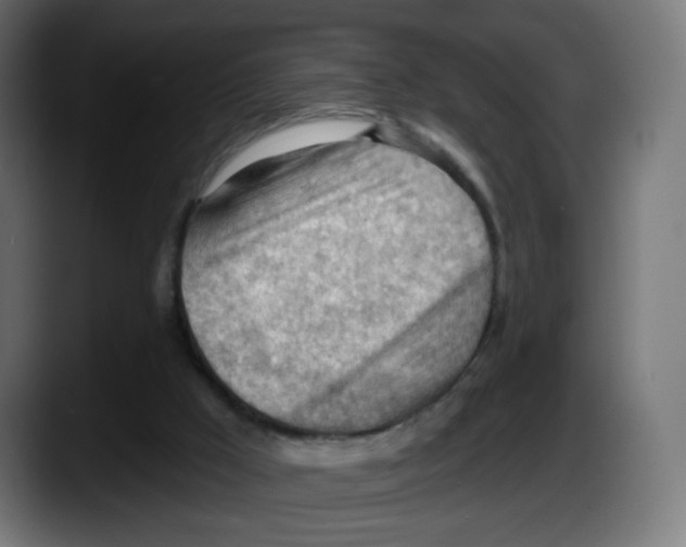 X0000087550009200705251749