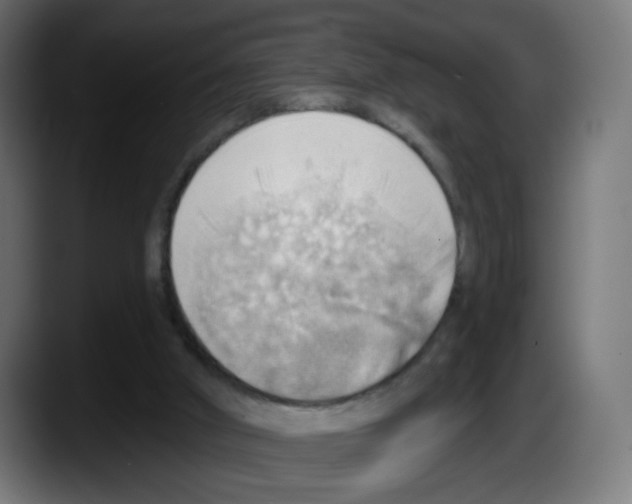 X0000087550010200705251749