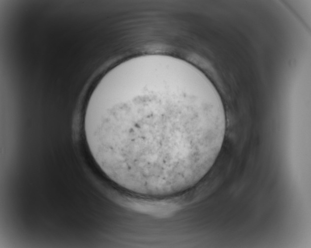 X0000087550012200705251749