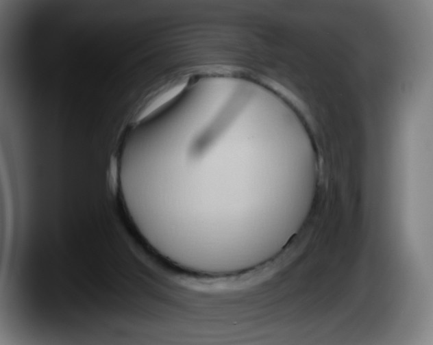 X0000087550013200705251749