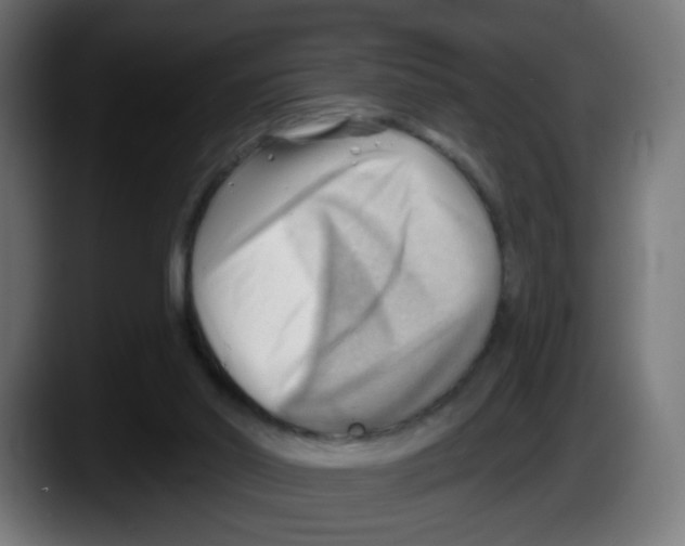 X0000087550014200705251749
