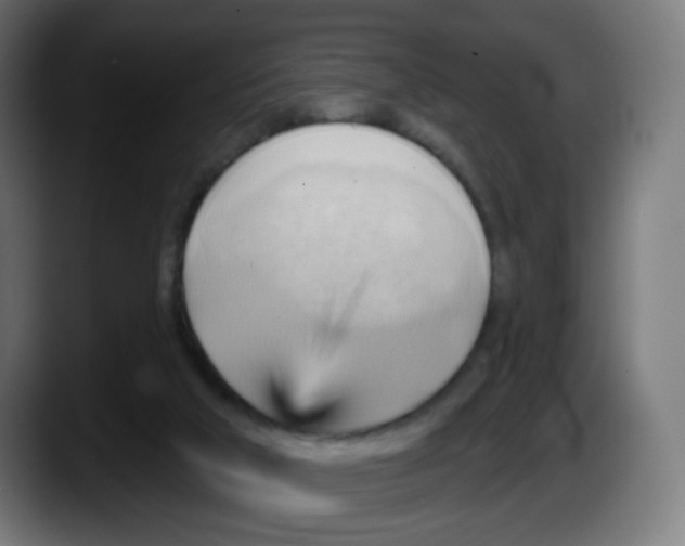 X0000087550018200705251749