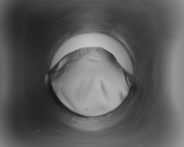 X0000087550019200705251749