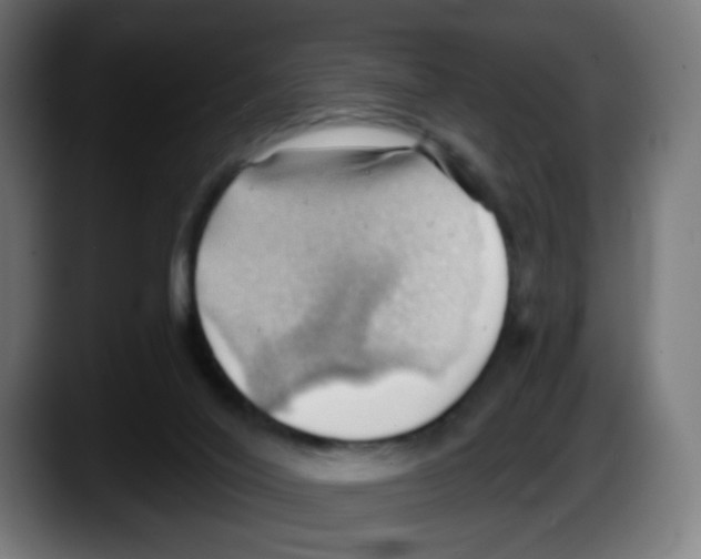 X0000087550020200705251749
