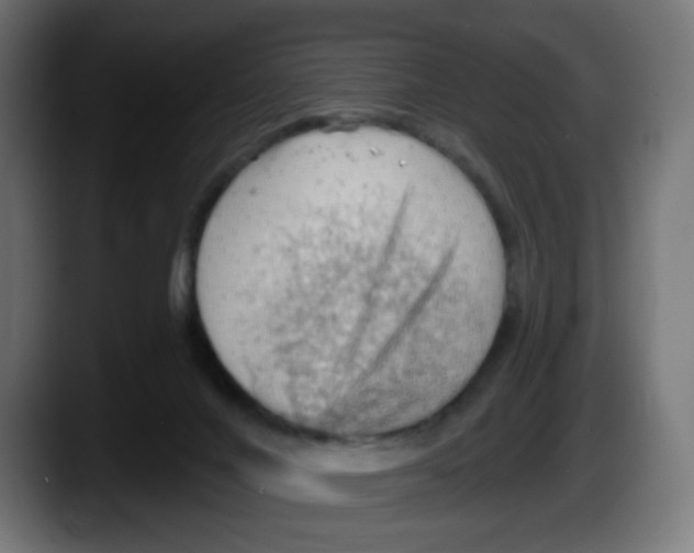 X0000087550024200705251749