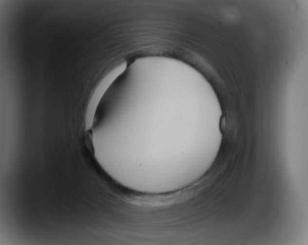 X0000087550025200705251749