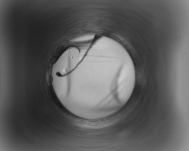 X0000087550026200705251749
