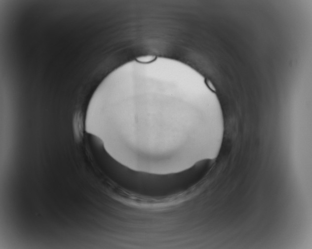 X0000087550027200705251749