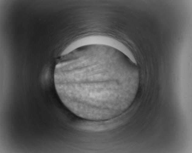 X0000087550029200705251749