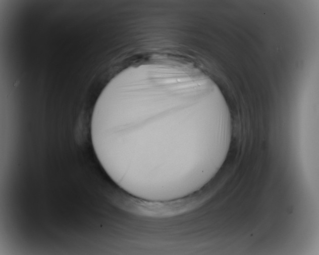 X0000087550030200705251749