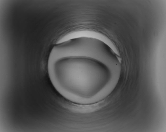 X0000087550031200705251749