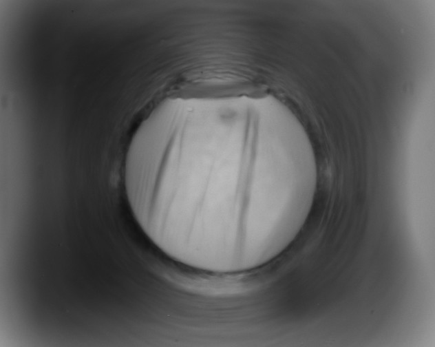 X0000087550032200705251749
