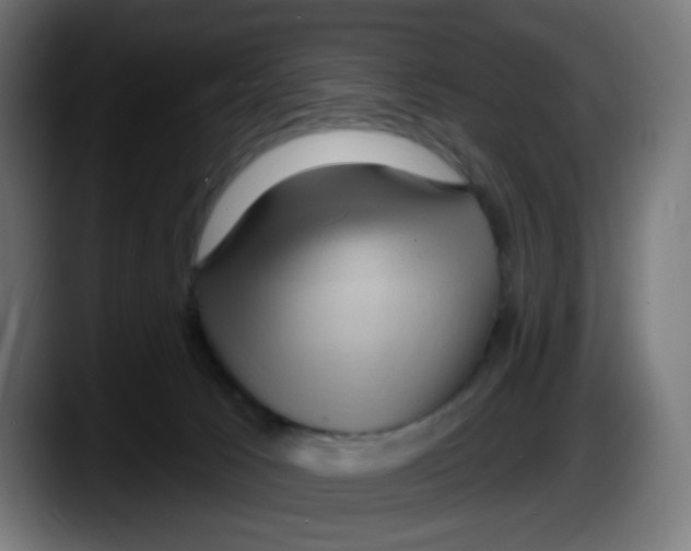 X0000087550033200705251749