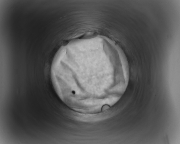 X0000087550034200705251749