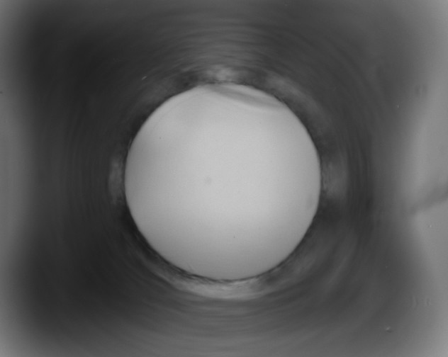 X0000087550036200705251749