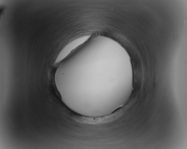 X0000087550037200705251749