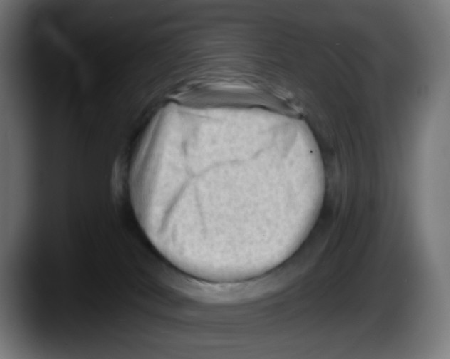 X0000087550038200705251749