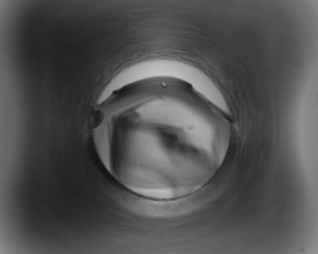X0000087550039200705251749