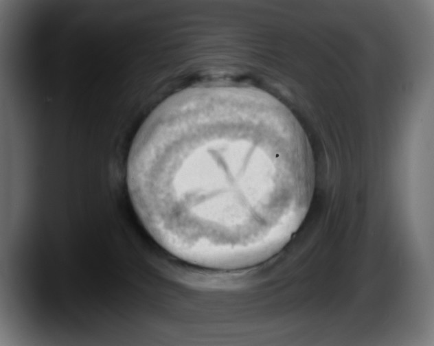 X0000087550040200705251749