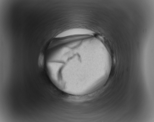 X0000087550041200705251749