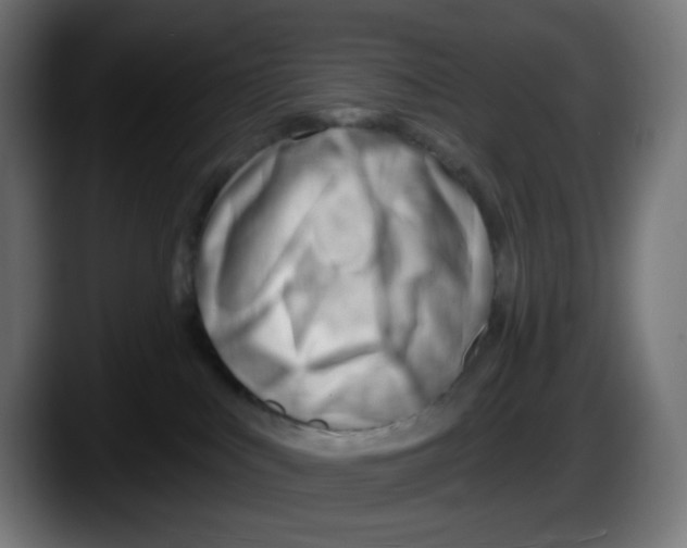 X0000087550043200705251749