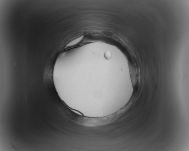 X0000087550045200705251749