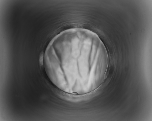 X0000087550047200705251749