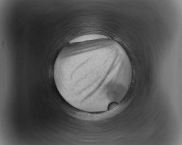 X0000087550048200705251749