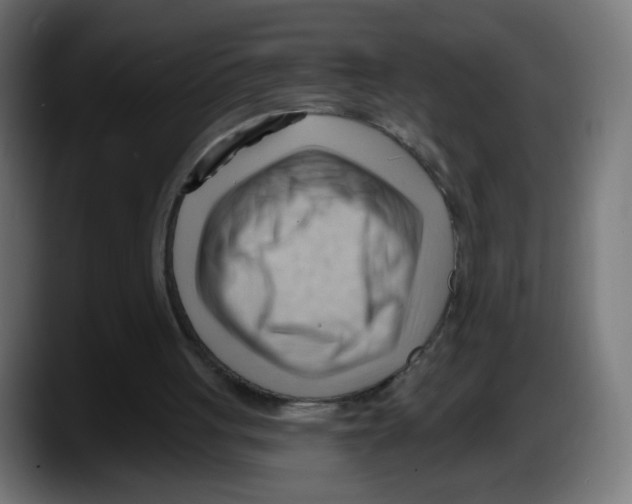 X0000087550051200705251748