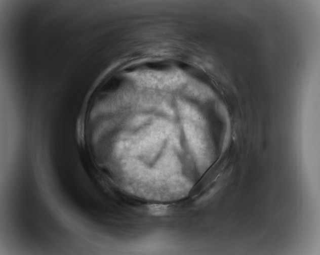 X0000087550052200705251748
