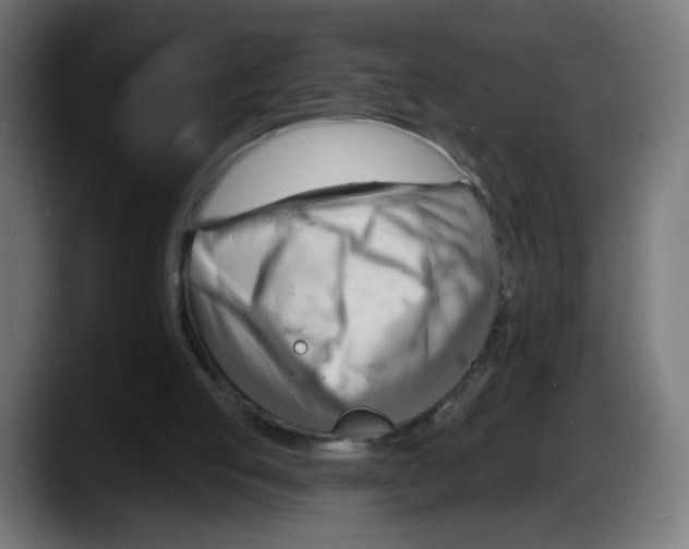 X0000087550053200705251748