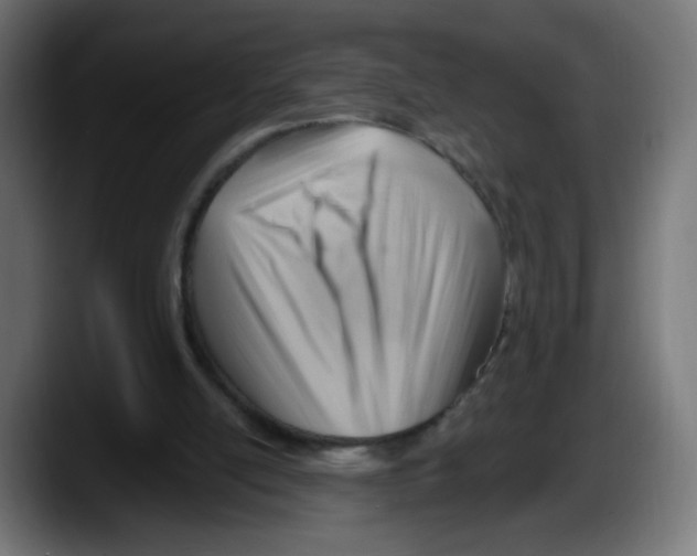X0000087550054200705251748